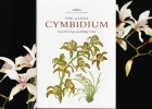 Book: The Genus Cymbidium