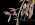 Cymbidium dayanum